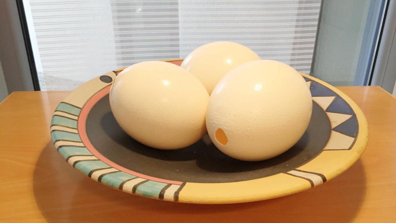 דירות Oppenheim Lofts מראה חיצוני תמונה